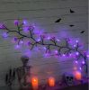 6 Ft 54 LED Halloween Willow Vine Twig 18 LED Pumpkins & Spiders
